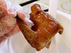 -百利鸽王(紫薇路店)