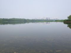 -永定河休闲森林公园