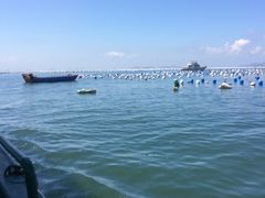 -枸杞岛