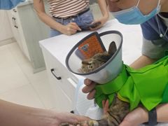 -福州肆爪动物医院