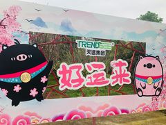 -天适樱花悠乐园