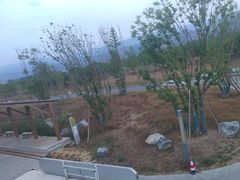 -邛海景风火盆烧烤(大石板古村二分店)