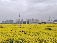 -三圣花乡旅游区