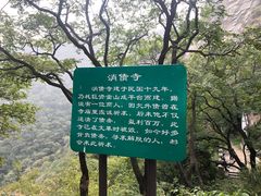 -北京鹫峰国家森林公园