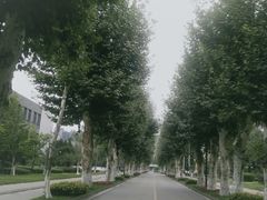 -四川大学(望江校区)