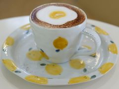 -COMPANION COFFEE小伴咖啡