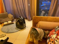 -太阳岛度假酒店