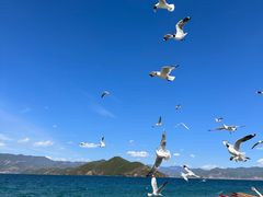 -丽江泸沽湖景区