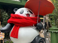 -轩客会(熊猫书店)