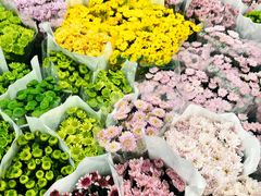 -东风国际花卉市场
