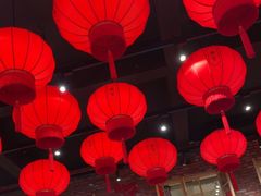 -二胖家铁锅炖大鹅(双井店)