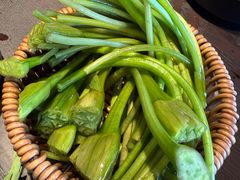 -芸鲜季·云南野生菌餐厅· 云南风物味研社(闵行店)