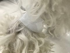 -纳吉亚猫专科动物诊疗中心(蒋宅口分院)