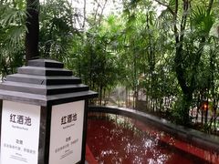 -融汇温泉