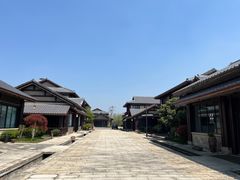 -西山漾湿地公园