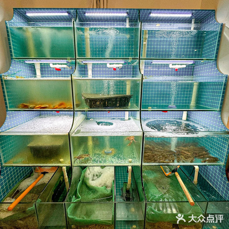 泉州的！！！被这锅海鲜大咖馋哭了！！