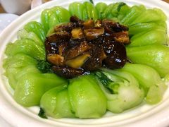 香菇菜心-台北楚楚园馅饼粥(虹桥南丰城店)