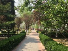 -山东师范大学(千佛山校区)