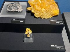 -山东博物馆