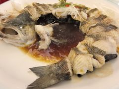 -博雅渔港·融合菜(维也纳国际大酒店)