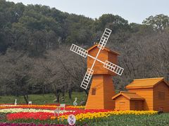-苏州上方山国家森林公园