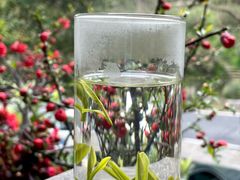 -龙井壹号·茶缘山景宴(龙井村店)