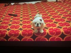 -金逸影城(大悦城IMAX激光店)