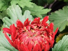 -宜昌富力皇冠假日酒店·咖啡1号西餐厅