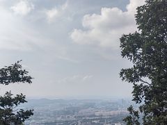 -紫金山山顶公园