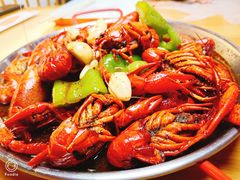 -杨氏青龙虾·羊蝎子(托乐嘉店)