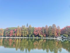 -东湖听涛景区