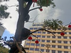 -昆百大泰业城