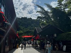 -野象谷景区