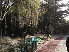 -西安市长乐公园