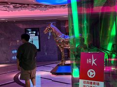 -纯K(打浦桥店)