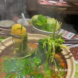 富天添的牛腩煲真的原地封神！大块的牛腩 大快朵颐