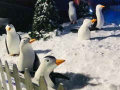 -世界之窗阿尔卑斯冰雪世界