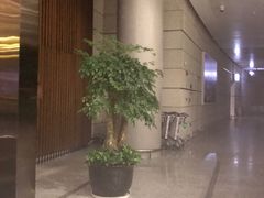 -南京禄口机场雅高铂尔曼大酒店