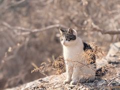 -青州市云门山风景区