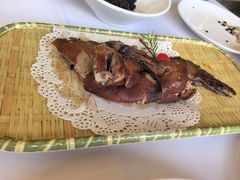 -骏莱海鲜鱼港(五角场店)