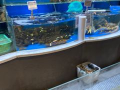 水产区-7fresh七鲜(大族广场店)