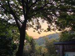 -上海佘山国家森林公园西佘山园