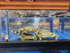 -炊江南·上海菜(国展华漕店)