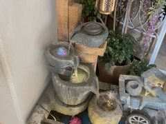 -金孔雀德宏傣味餐馆(魏公村店)
