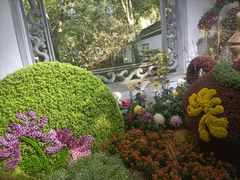 -杭州植物园