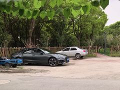 -马陆小张葡萄园农家乐