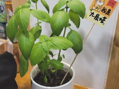 -呷贺盐酥鸡(抄纸巷店)