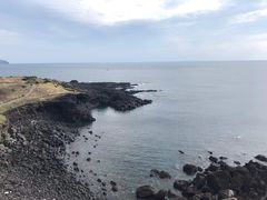 -涉地可支