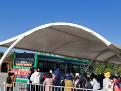 -金塔沙漠胡杨林景区