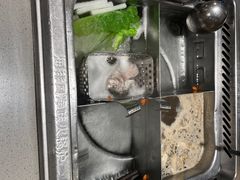 -海底捞火锅(金光华店)